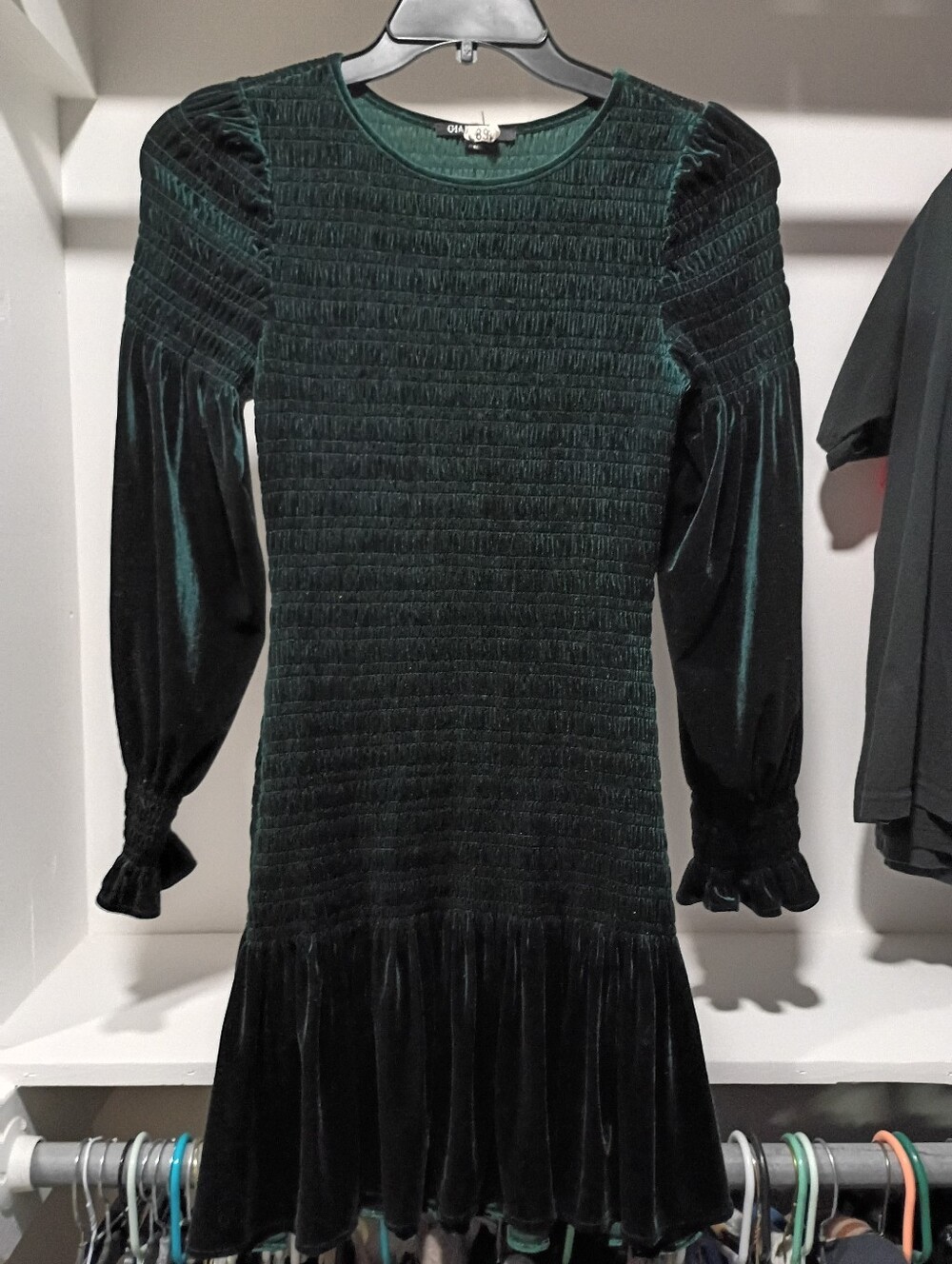 Gianni Bini Smocked Green Velvet Long Sleeve Mini Dress